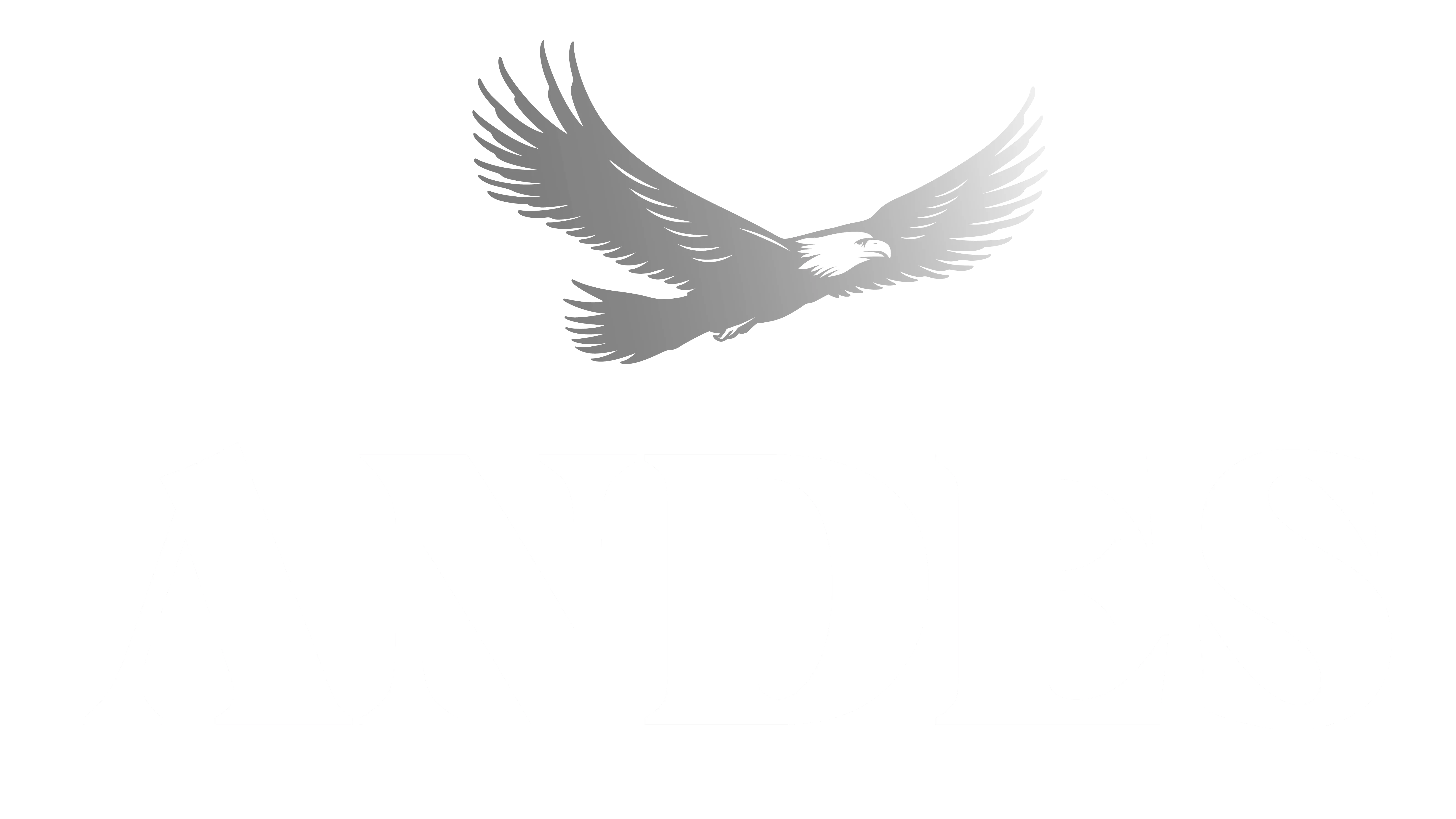 logo alt